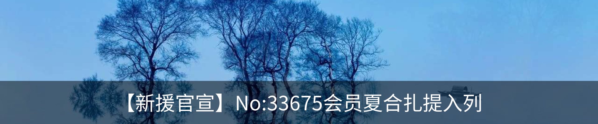 最新动态