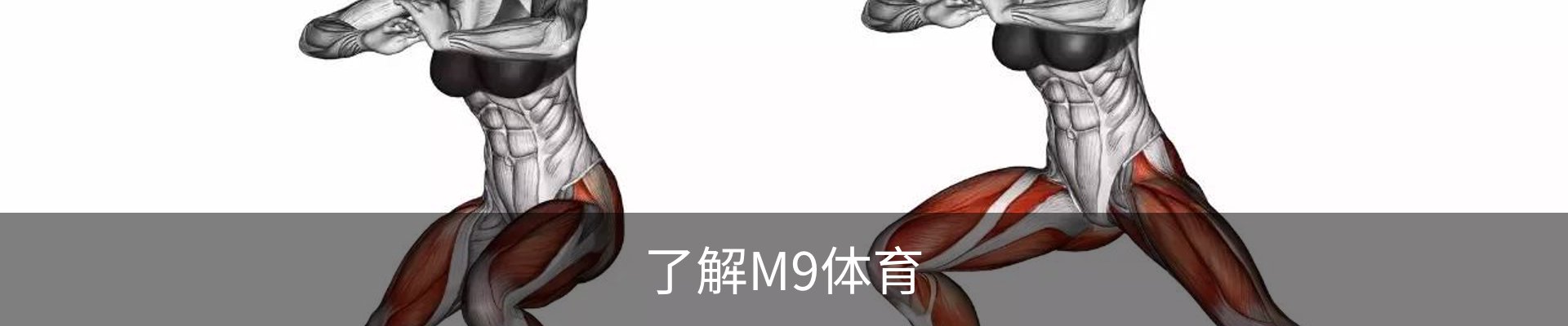 了解M9体育